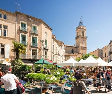 Mes A Moi In Pezenas - Studio & Patio Privatif - O Pitchoun Apartman Kültér fotó